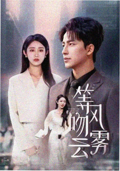 双重回声 悬疑剧集免费观看封面
